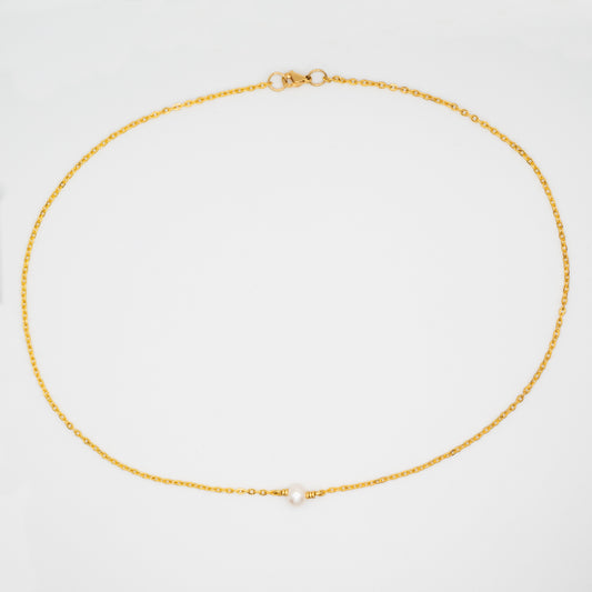 Freshwater Pearl Chain Necklace - Gold