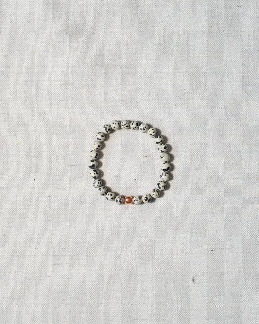 STILLPOINT (DALMATIAN)